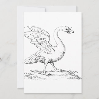 Zwaan Symbool van Liefde en Trouw Fijne Kunst Kaart