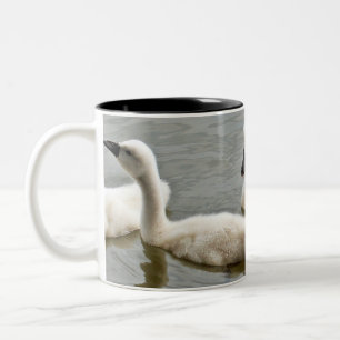 zwaan tweekleurige koffiemok