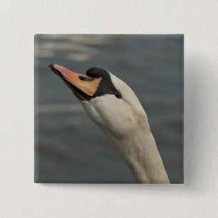 Zwaan Vierkante Button 5,1 Cm