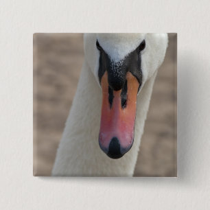 Zwaan Vierkante Button 5,1 Cm