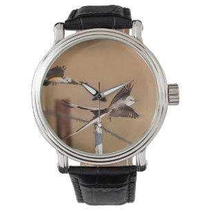 Zwaardsnaveltyrannen (Tyrannus Forficatus) Horloge