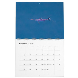 Zwaardvis Alleen Kalender 2026