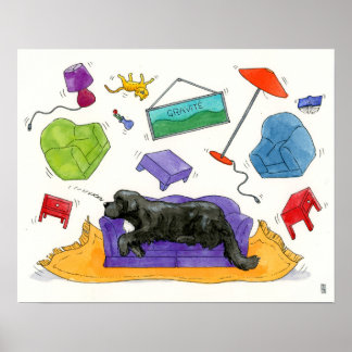 Zwaarte - Zwaartekracht Poster