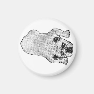 Zwaartekracht Expert Magneet