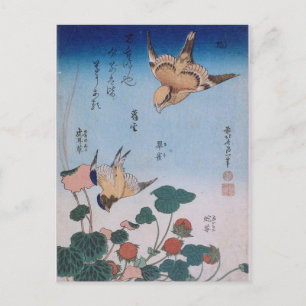 Zwaas en begonia en aardbeientaart Katsushika Briefkaart