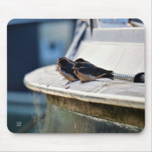 Zwaluw vogeltjes die op een lijn zitten in de have muismat
