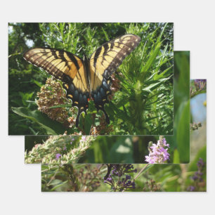 Zwaluwstaartvlinder III Kleurrijke Foto Inpakpapier Vel