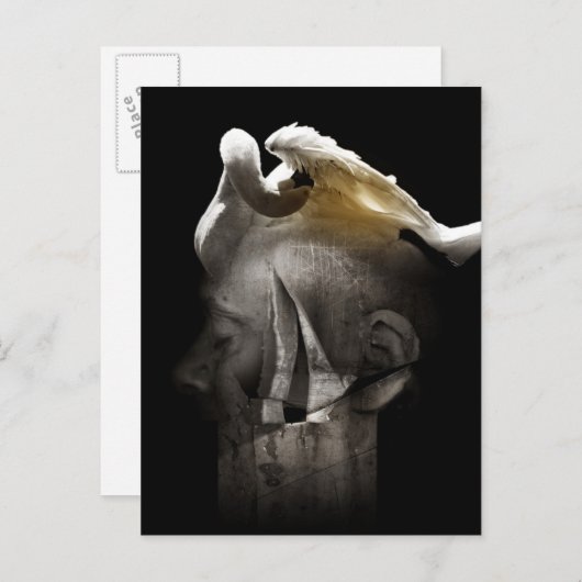 Zwan 2013 briefkaart (Voorkant / Achterkant)