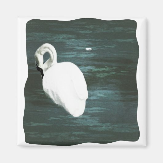 Zwan bij de Pond Magneet (Voorkant)