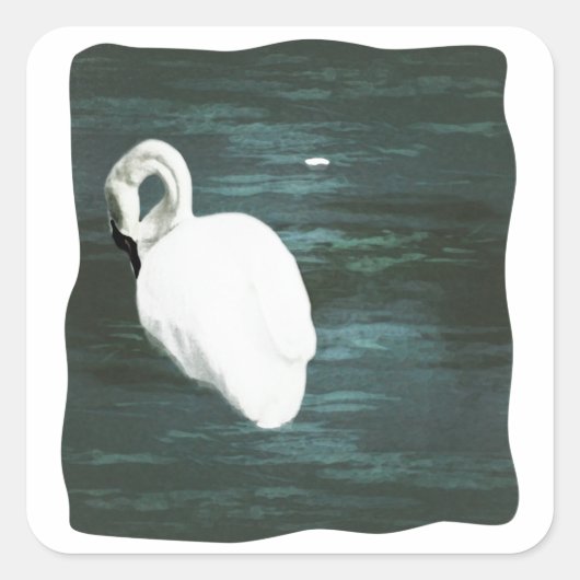 Zwan bij de Pond Vierkante Sticker (Voorkant)