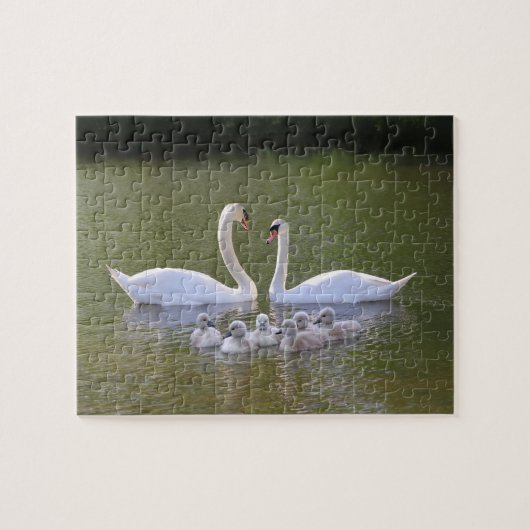 Zwan en cygnets legpuzzel (Horizontaal)