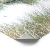 Zwan in Wetlands Poster (Hoek)