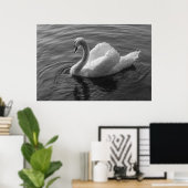 Zwan. Roath Park Lake, Cardiff, Wales B&W Poster (Thuiskantoor)