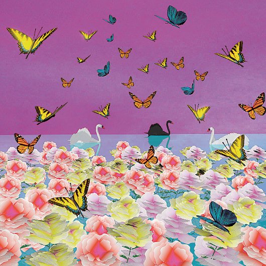 Zwanen bij Sunset Poster