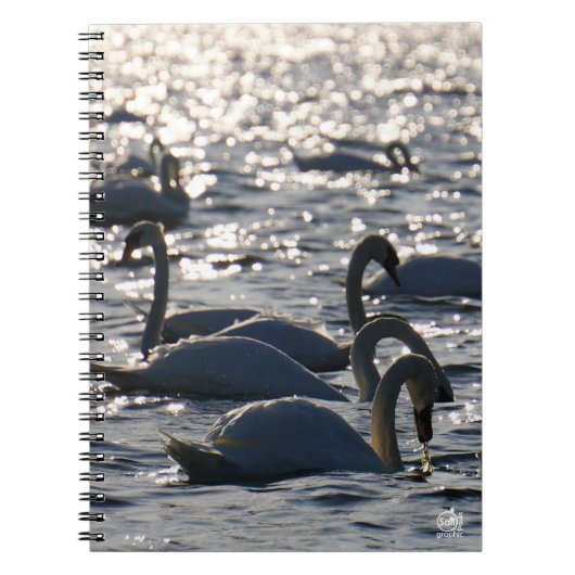 Zwanen in een groep op het water met glinsterend z notitieboek (Voorkant)