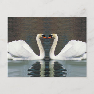 Zwanenhart briefkaarten