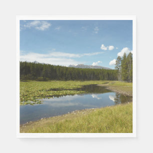 Zwanenmeer I in Grand Teton National Park Servet