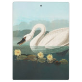 zwanenvogel witwaterzwanen klembord (Achterkant)