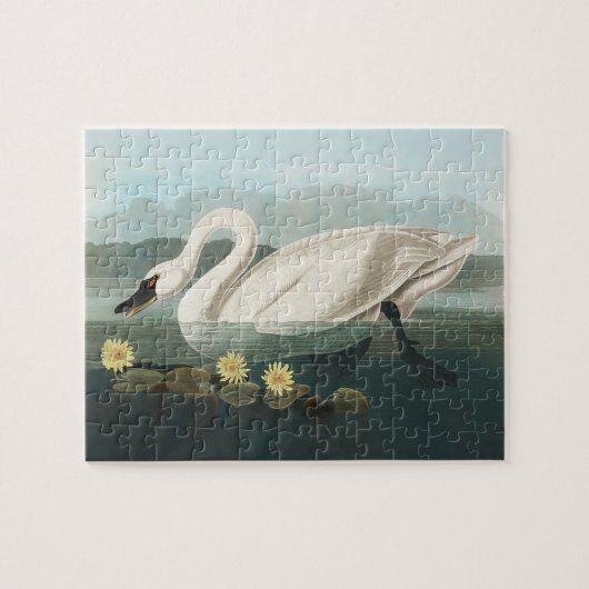 zwanenvogel witwaterzwanen legpuzzel (Horizontaal)