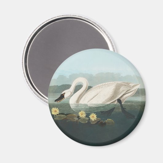 zwanenvogel witwaterzwanen magneet (Voorkant / Achterkant)