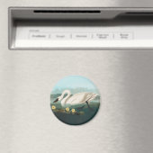 zwanenvogel witwaterzwanen magneet (Insitu (Vaatwasser))