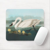 zwanenvogel witwaterzwanen muismat (Met muis)