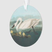 zwanenvogel witwaterzwanen ornament (voorkant)