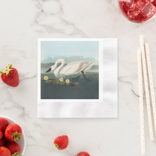 zwanenvogel witwaterzwanen servet (Insitu)