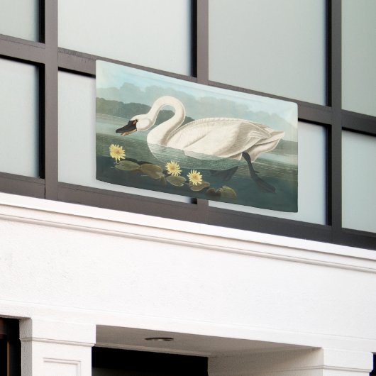 zwanenvogel witwaterzwanen spandoek (Buitenkant Gebouw)