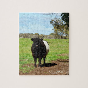 Zwanger Vrouw Belted Galloway Koe, Legpuzzel