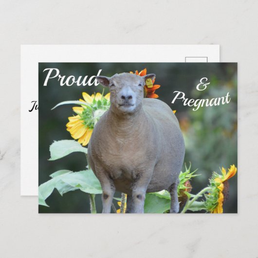 Zwangerschap Aankondiging Kaart Quaint (Voorkant / Achterkant)