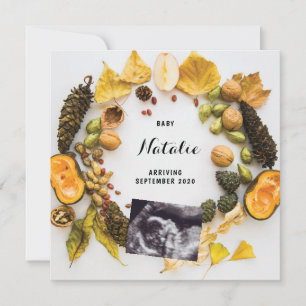 Zwangerschap Aankondiging pompoen Herfst herfst Wr