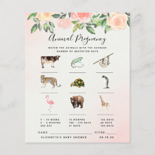 Zwangerschap bij dieren BABY SHOWER