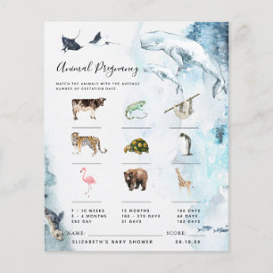 Zwangerschap bij dieren BABY SHOWER