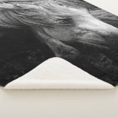 Zwangerschap Dartmoor Pony Mare-portret Sherpa Deken (3/4)