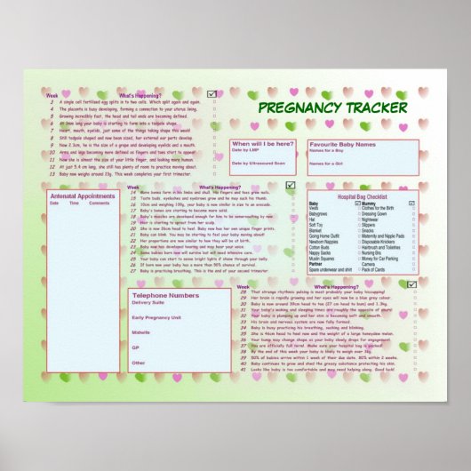 Zwangerschap Poster (Voorkant)