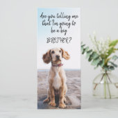 Zwangerschap van Big Brother/Zuster Pet Aankondigi Aankondiging (Staand voorkant)