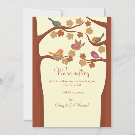 Zwangerschap Zwangerschap Aankondiging (Voorkant)