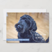 Zwangerschap Zwangerschap Zwangerschap Zwangerscha Kaart (Voorkant)