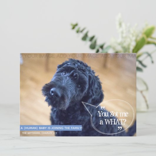 Zwangerschap Zwangerschap Zwangerschap Zwangerscha Kaart (Staand voorkant)