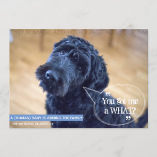 Zwangerschap Zwangerschap Zwangerschap Zwangerscha Kaart