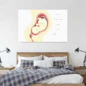 Zwangerschapsanatomie Canvas Afdruk (Insitu (Slaapkamer))
