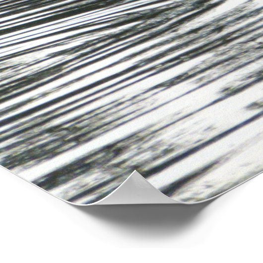 Zwangvoeding, Roath Park Lake, Cardiff Poster (Hoek)