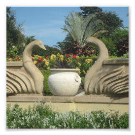 Zwans Bewakende Hollis Gardens op een Foto Afdruk