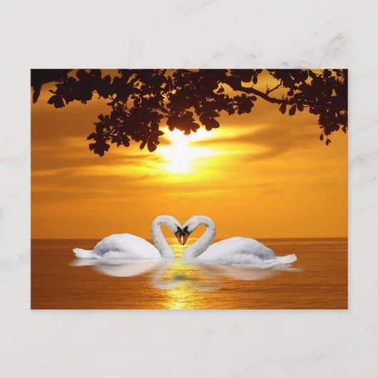 Zwans Briefkaart (Voorkant)