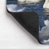 Zwans in de rivier de Icey Muismat (Hoek)