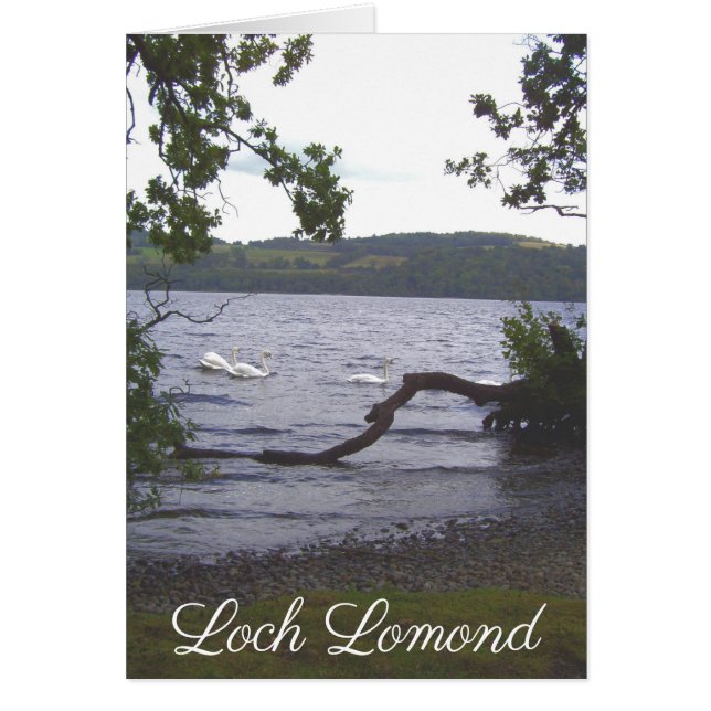 Zwans op Loch Lomond (Voorkant)