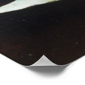 Zwans toedienen aan de Ronde Pond Poster (Hoek)