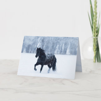 Zwar Paard in de Sneeuw Wenskaart