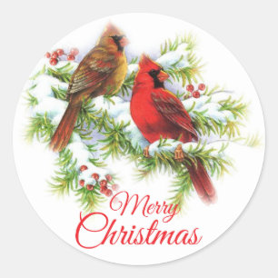 Zware kerstkardinaalvogels in de boom ronde sticker